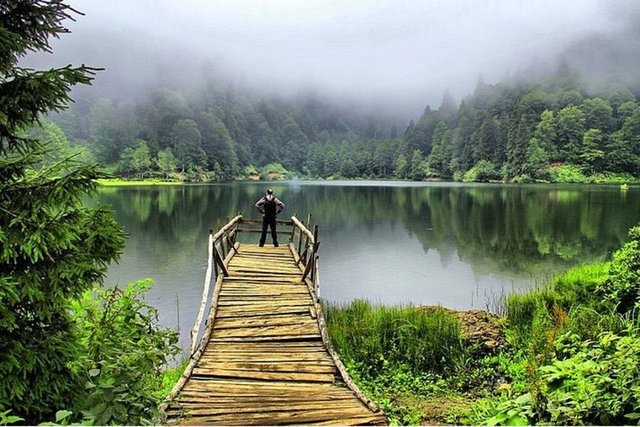 Artvin Sohbet Odaları Güvenli Karşılıklı Konuşma Ortamı